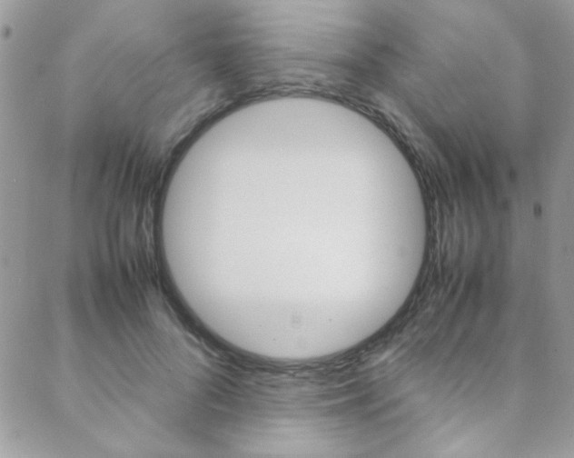 X0000089460696200706151106