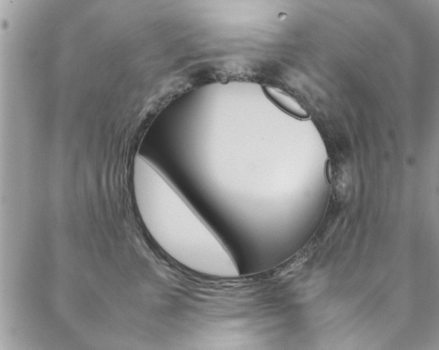 X0000089460715200706151106
