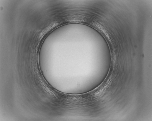 X0000089460721200706151105