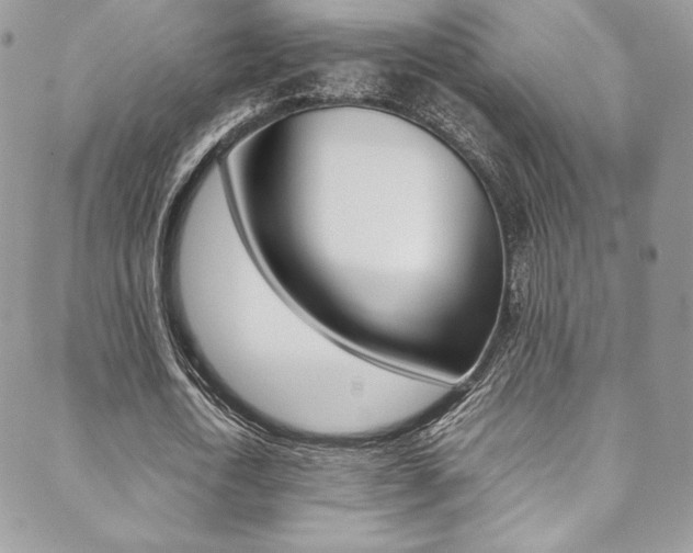 X0000089460722200706151105