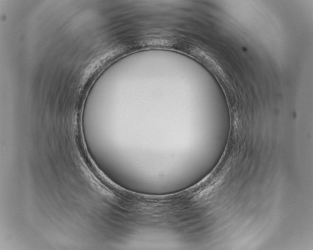 X0000089460725200706151105