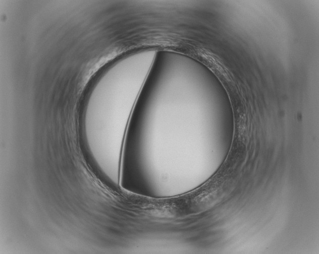 X0000089460727200706151105