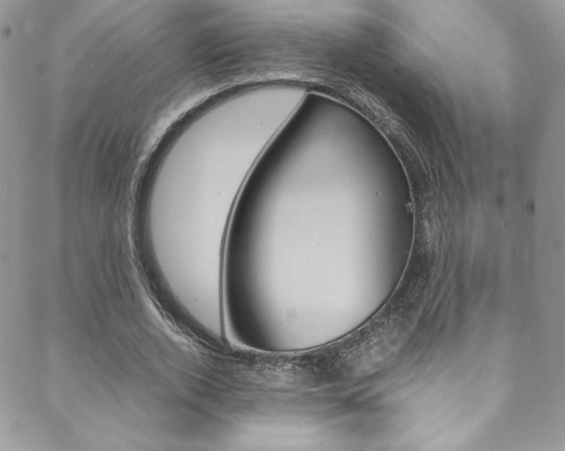 X0000089460728200706151105