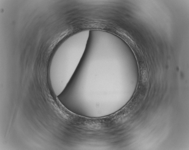 X0000089460729200706151105