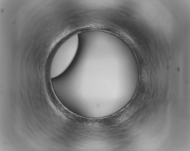 X0000089460730200706151105