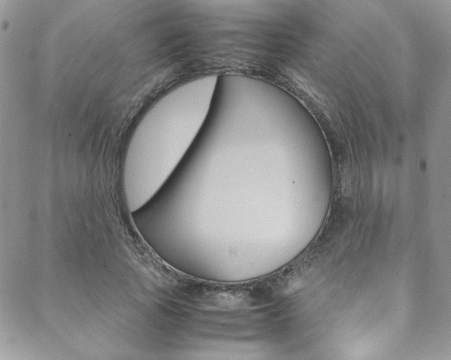 X0000089460737200706151105