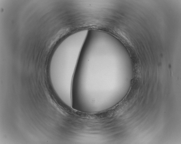 X0000089460738200706151105