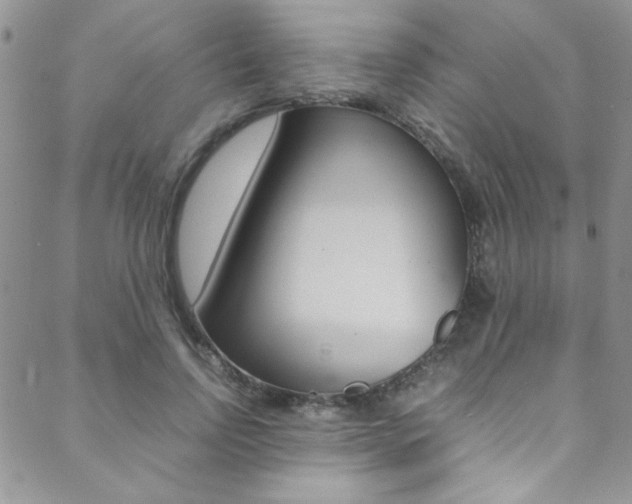 X0000089460742200706151105