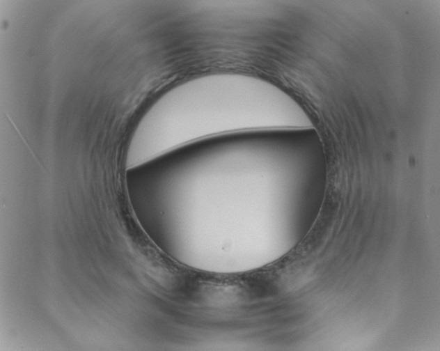 X0000089460743200706151105