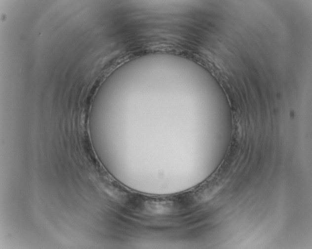 X0000089460745200706151105