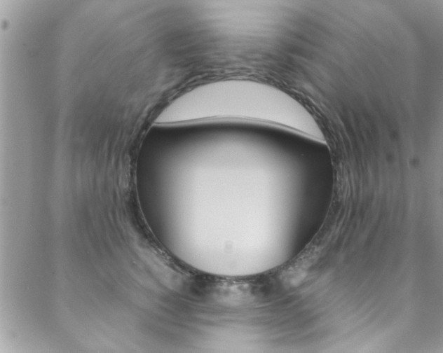X0000089460760200706151105
