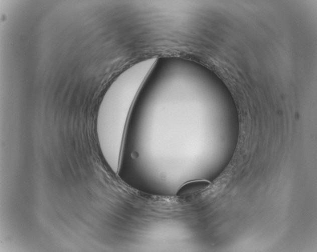 X0000089460768200706151105