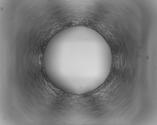 X0000089460770200706151105