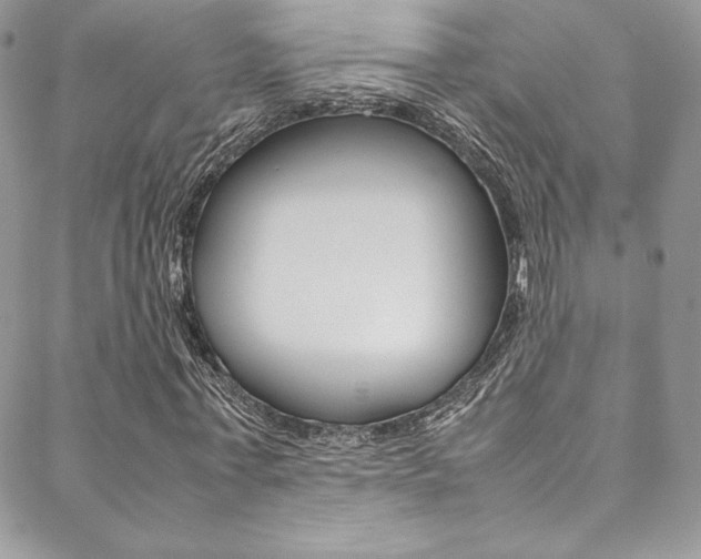 X0000089460771200706151105