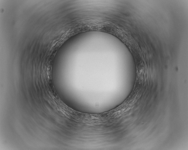 X0000089460772200706151105