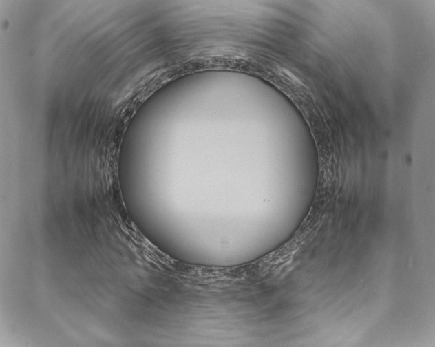 X0000089460774200706151105