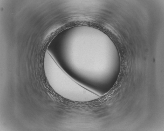 X0000089460775200706151105