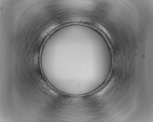 X0000089460778200706151105