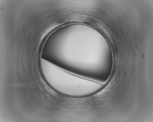 X0000089460779200706151105