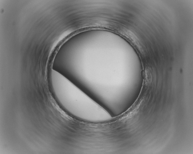 X0000089460780200706151105