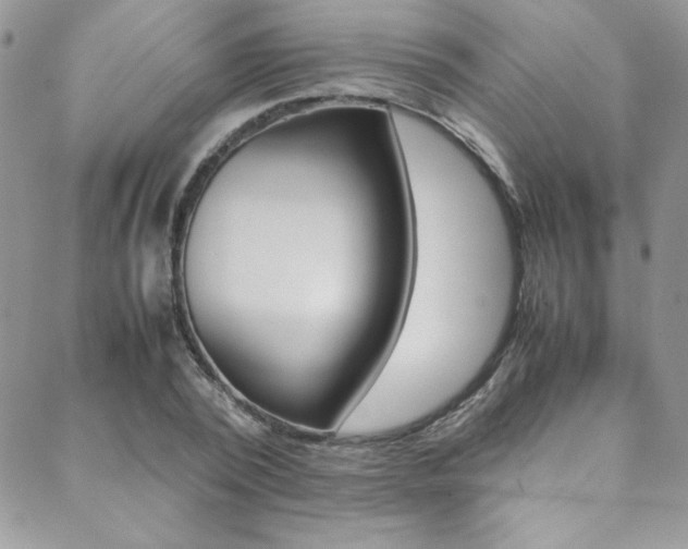 X0000089460784200706151104