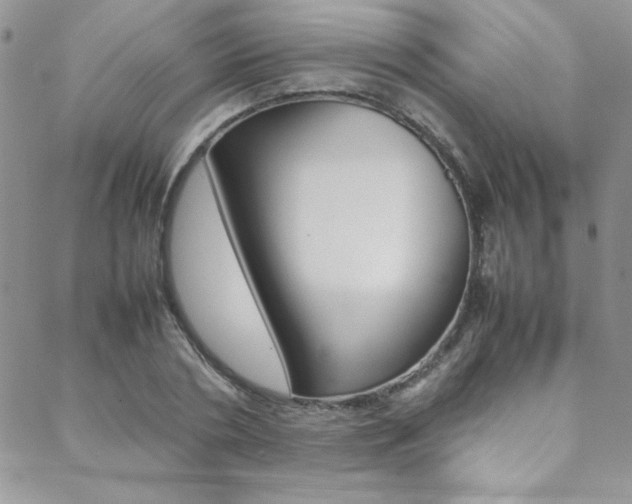 X0000089460786200706151104
