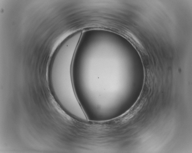 X0000089460788200706151104