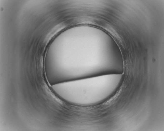 X0000089460790200706151104