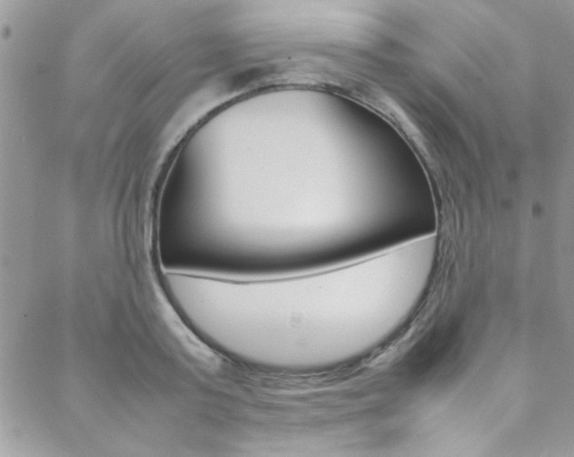 X0000089460795200706151104