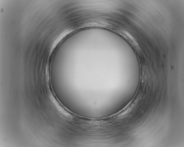 X0000089460796200706151104