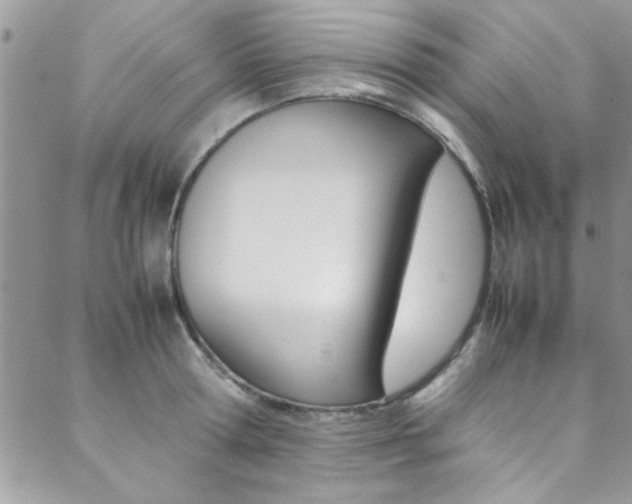 X0000089460802200706151104