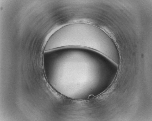X0000089460816200706151104
