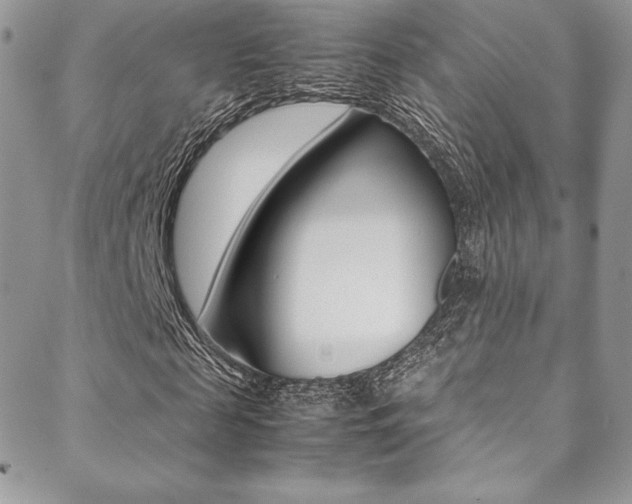 X0000089460817200706151103