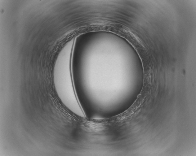 X0000089460821200706151103