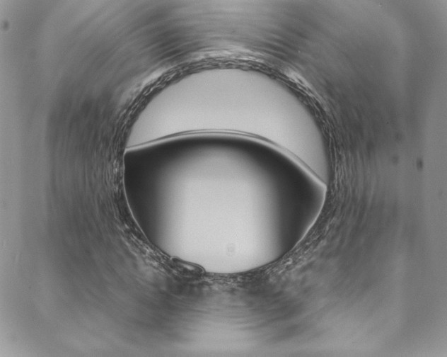 X0000089460822200706151103