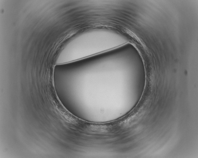 X0000089460825200706151103
