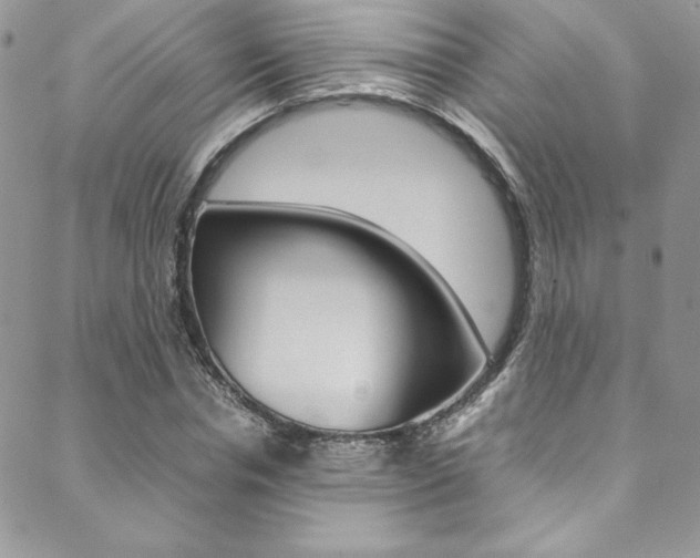 X0000089460826200706151103