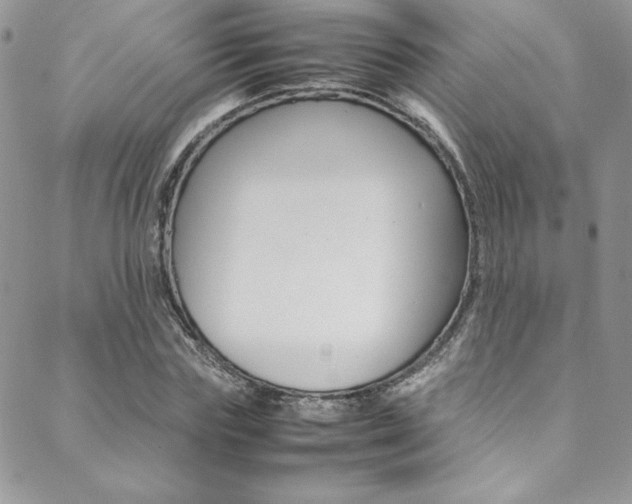 X0000089460827200706151103