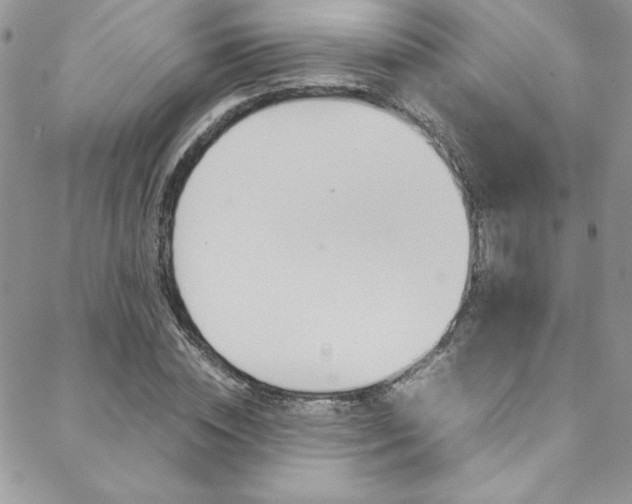 X0000089460828200706151103