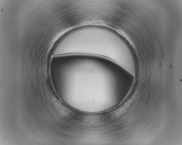X0000089460830200706151103