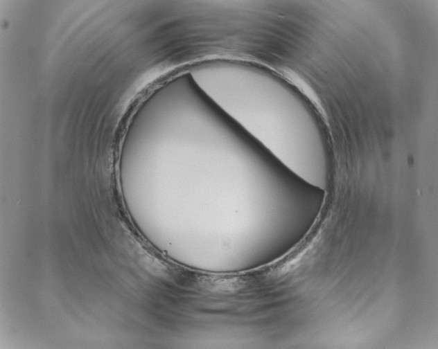 X0000089460831200706151103