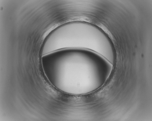 X0000089460834200706151103