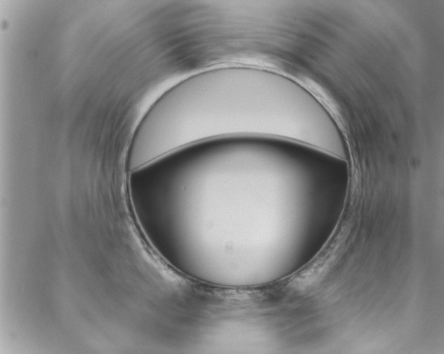 X0000089460862200706151104
