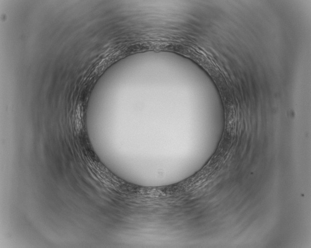 X0000089460866200706151103