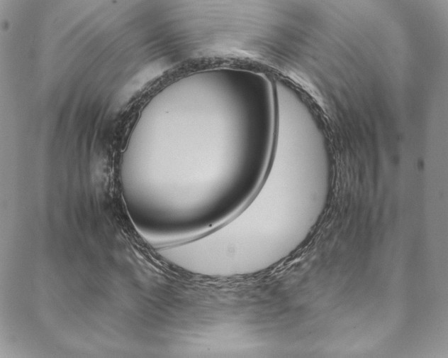 X0000089460872200706151103