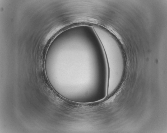 X0000089460877200706151103