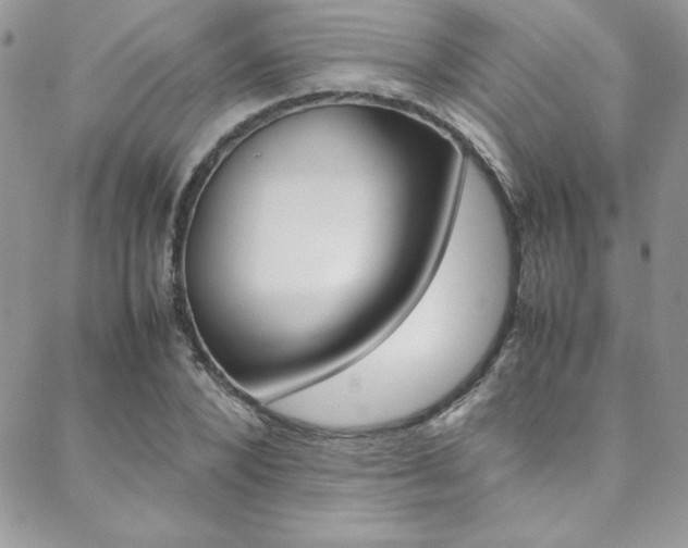 X0000089460880200706151103