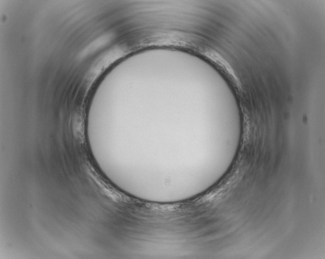 X0000089460882200706151103
