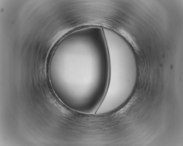 X0000089460884200706151103