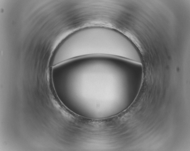 X0000089460888200706151103